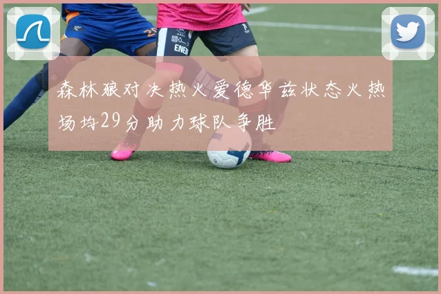 森林狼对决热火爱德华兹状态火热场均29分助力球队争胜